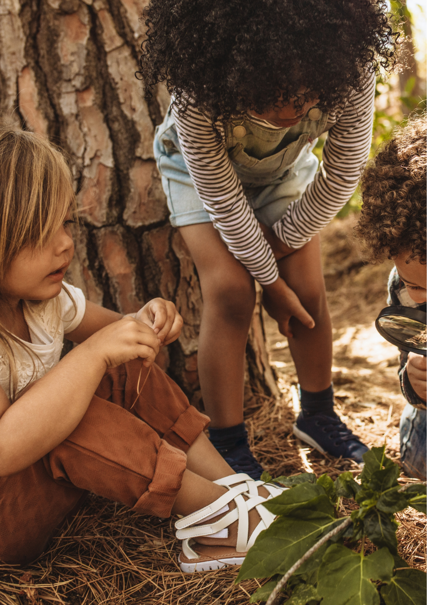Children exploring nature outdoors with a magnifying glass and leaves by a tree trunk.