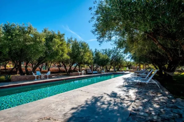Serene outdoor pool with lounge chairs and trees under clear blue sky. Relaxing summer retreat setting.
