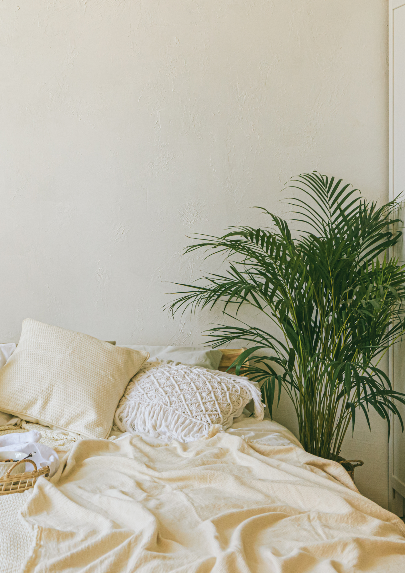 Cozy bedroom with beige bedding, decorative pillows, and a lush green plant by the wall.