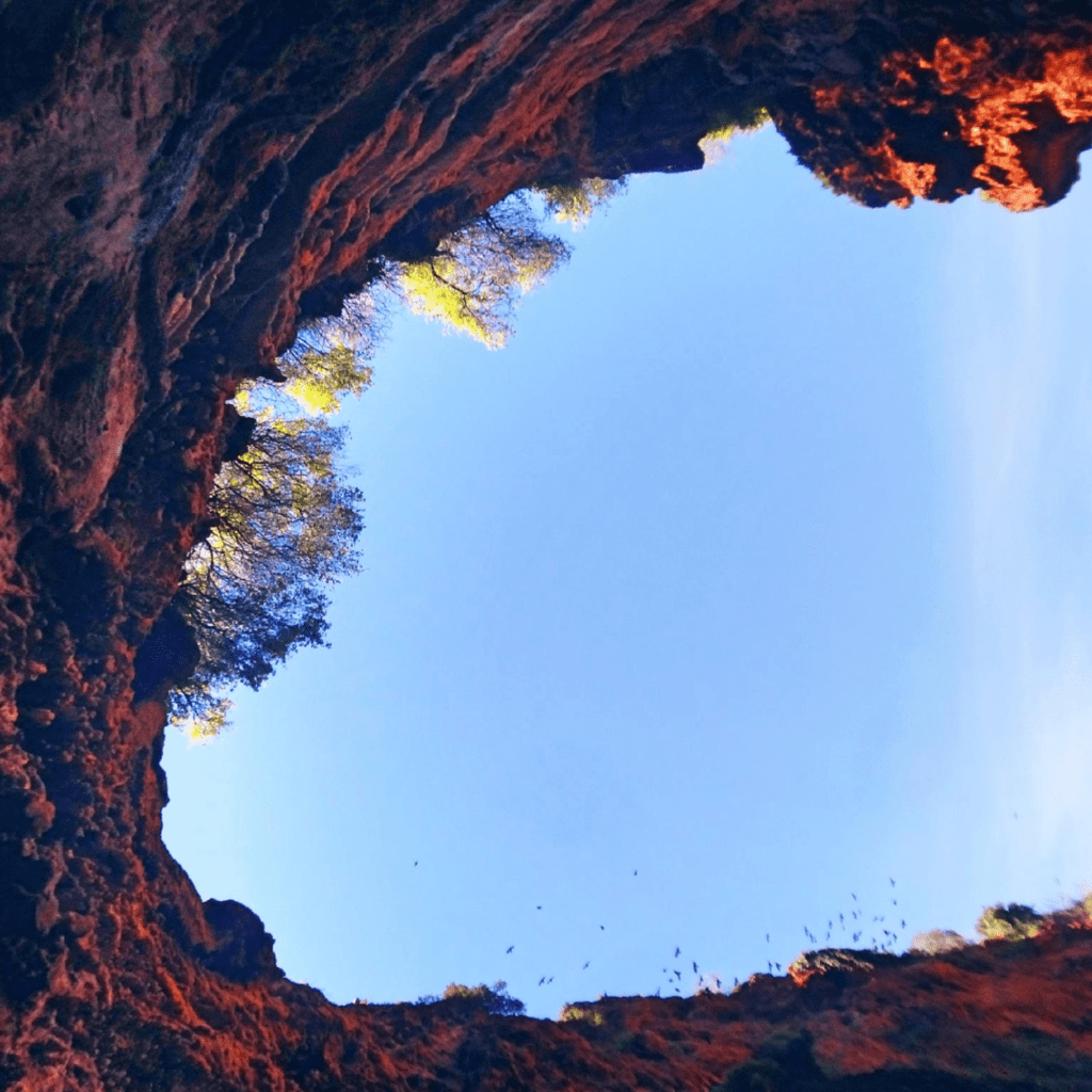 Looking up from a cave opening surrounded by rocky cliffs and trees under a clear blue sky.